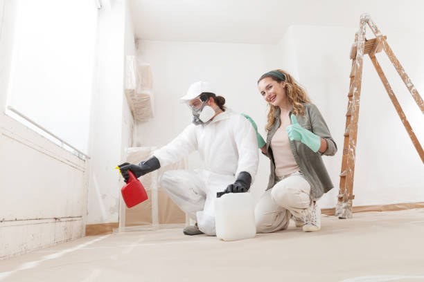 Best Mold Damage Restoration  in Chesapeake Ranch Estates, MD